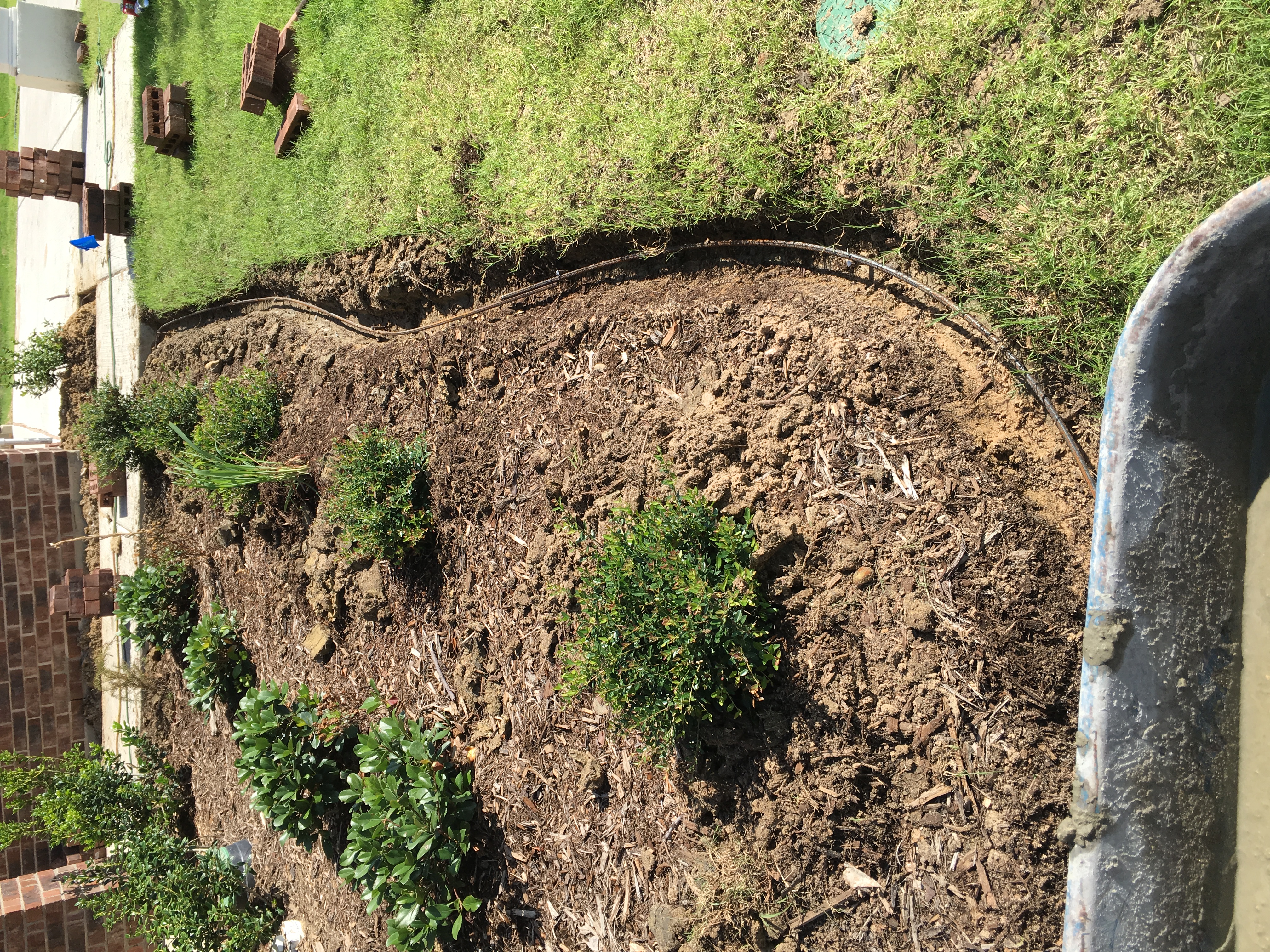 Landscaping project