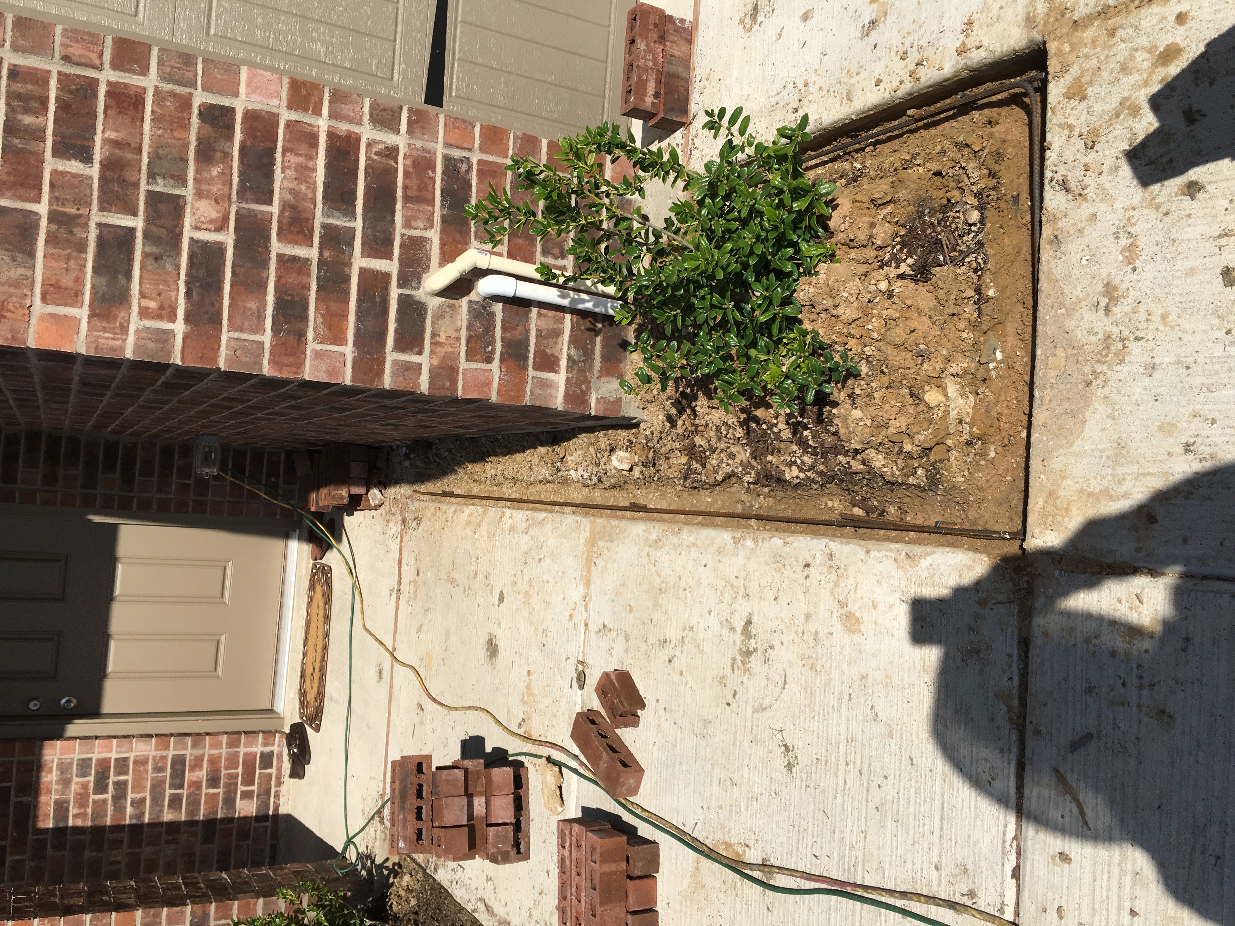 Landscaping project