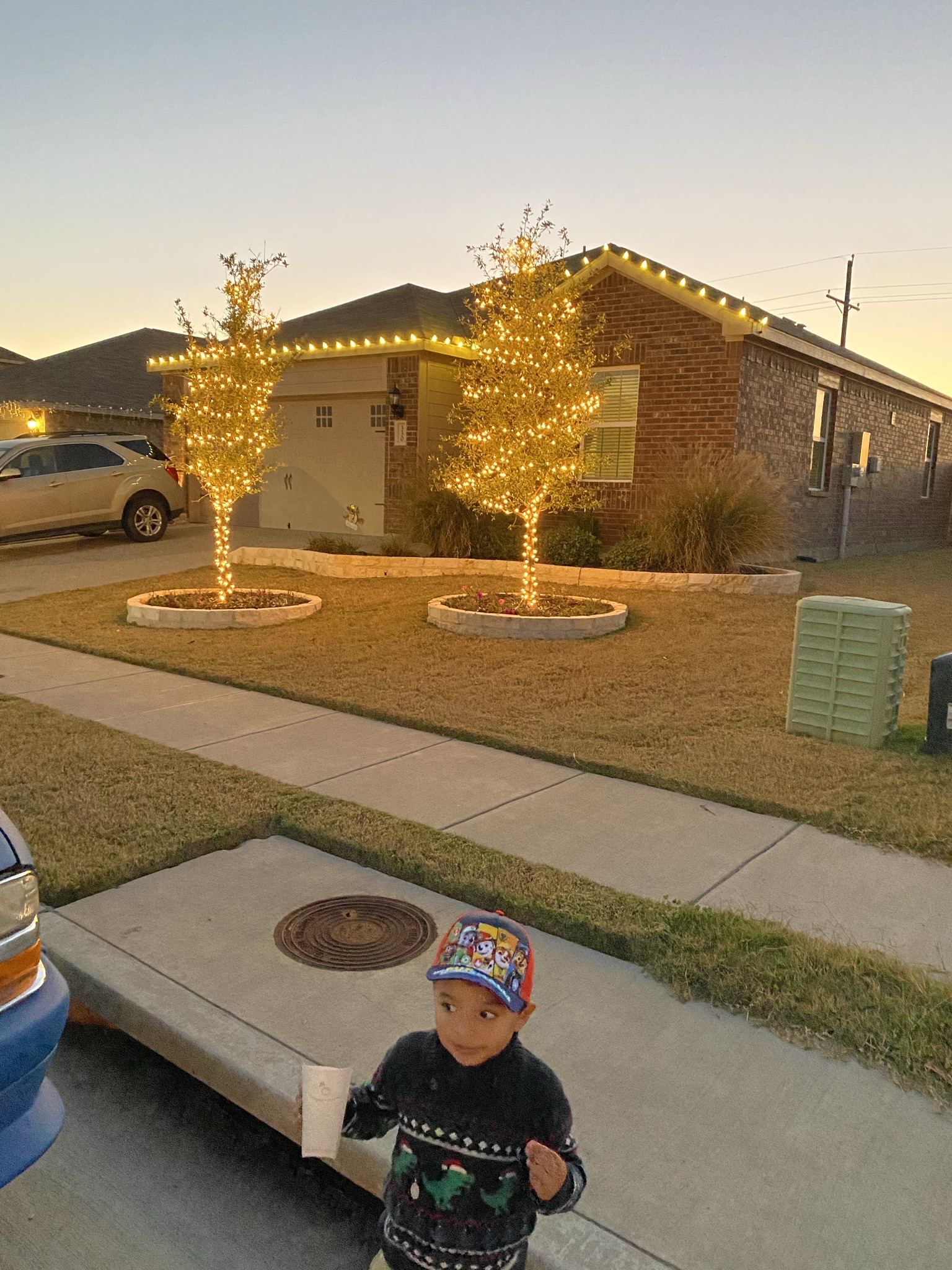 Landscaping project